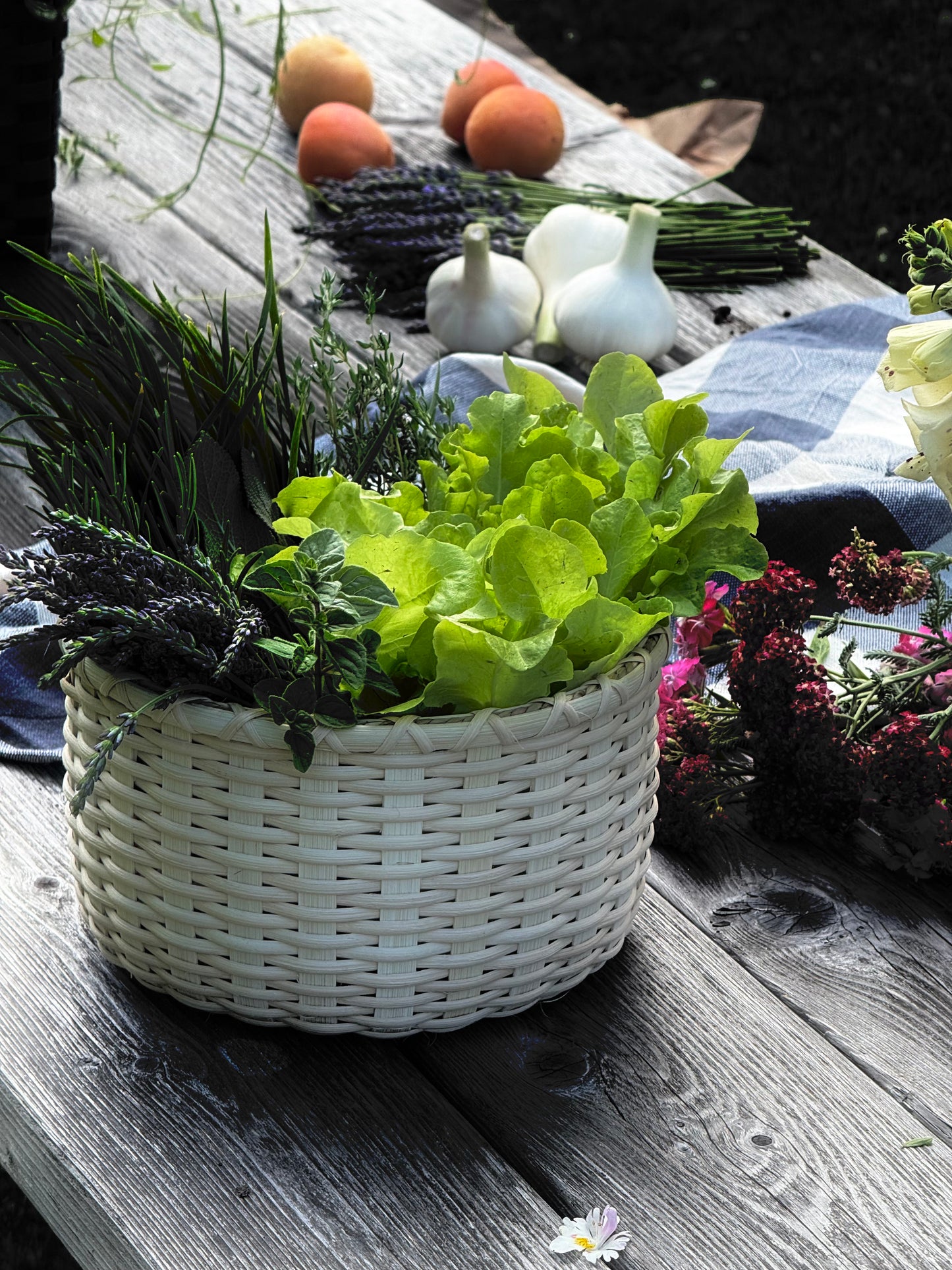 The August Club Box: The Harvest Basket & Underwater Magazine Issue No. 2