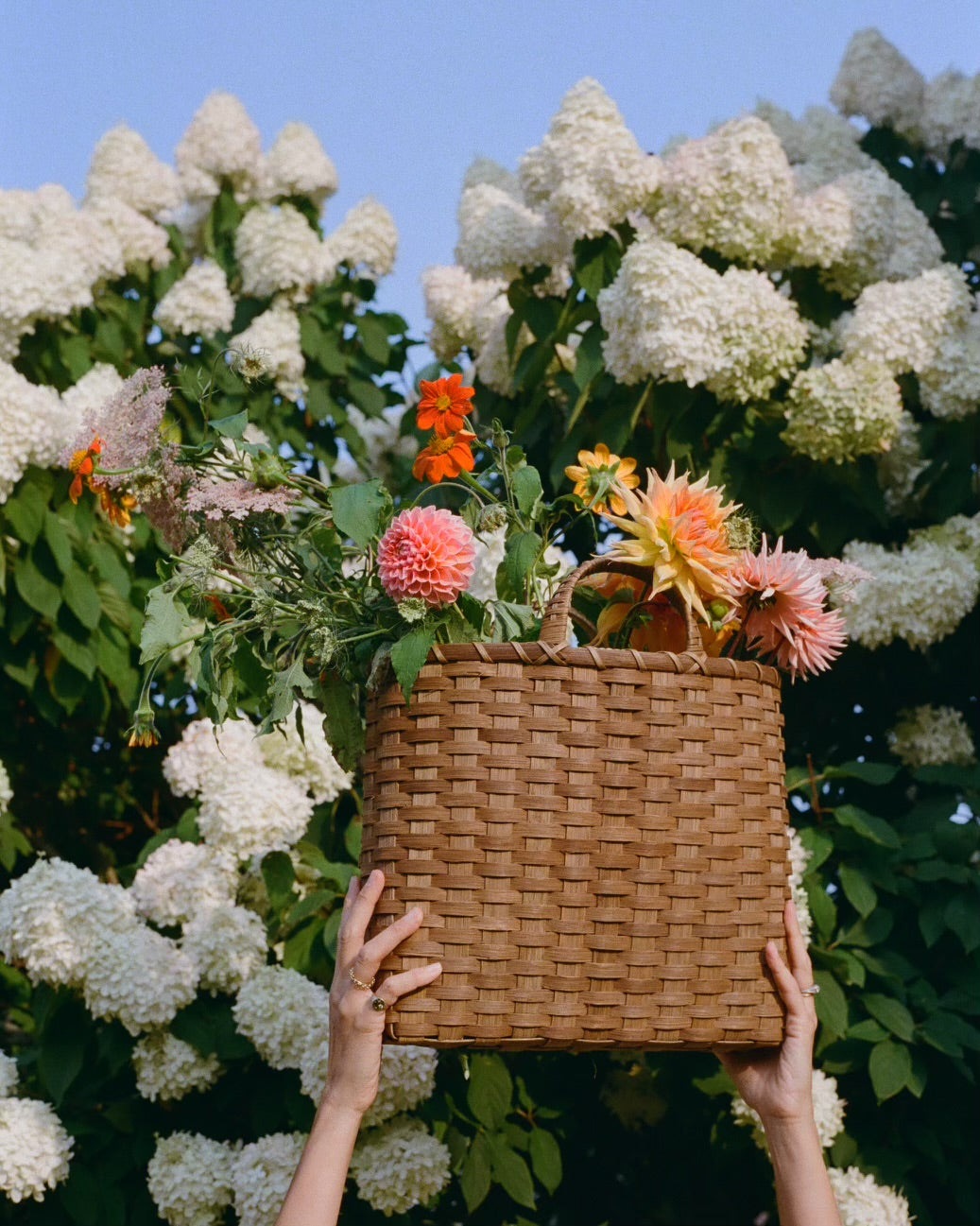 The Shopping Basket