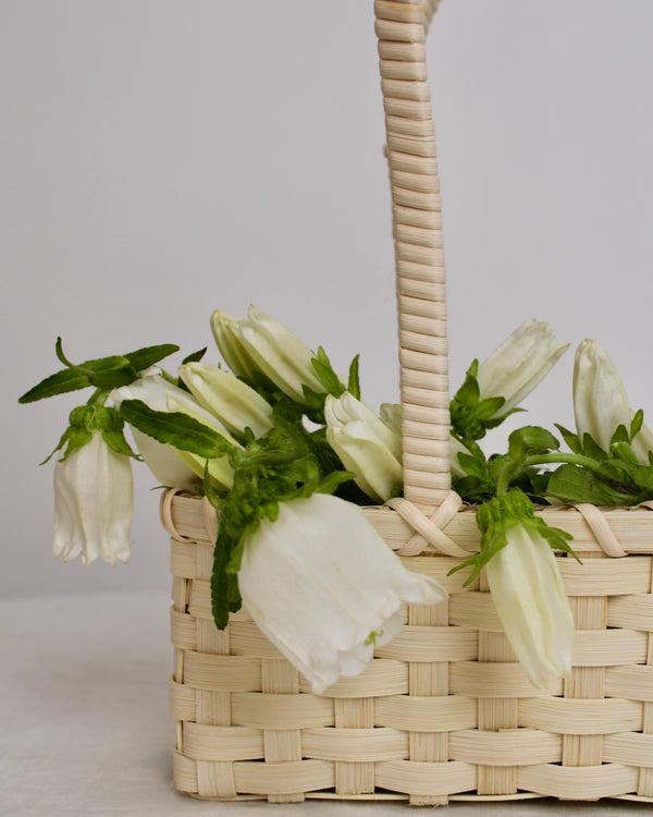 The Demi Gatherer Beginner Basket Weaving Kit