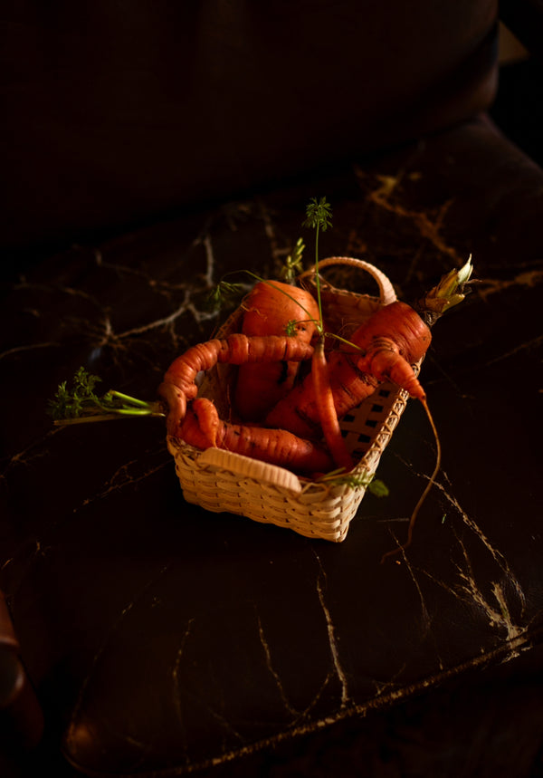 Panier de Crudités Beginner Basket Weaving Kit