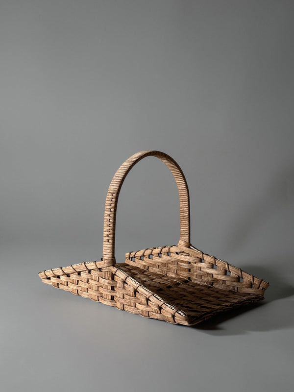 The Foraging Basket