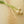 Kit Bundle: The Garlic Basket