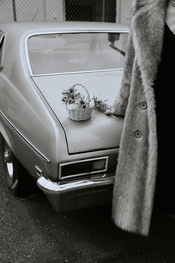 The Botanical Basket Beginner Basket Weaving Kit