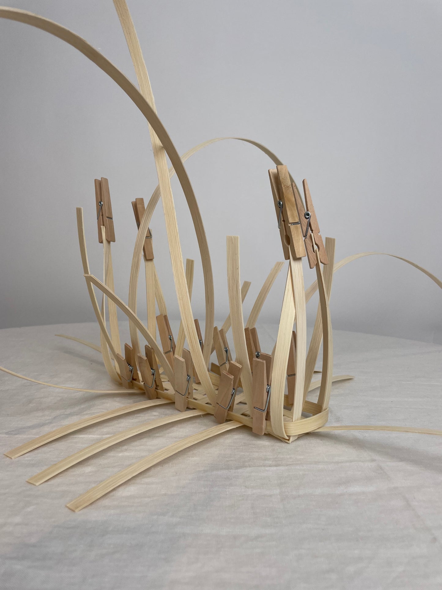 The Demi Gatherer Beginner Basket Weaving Kit