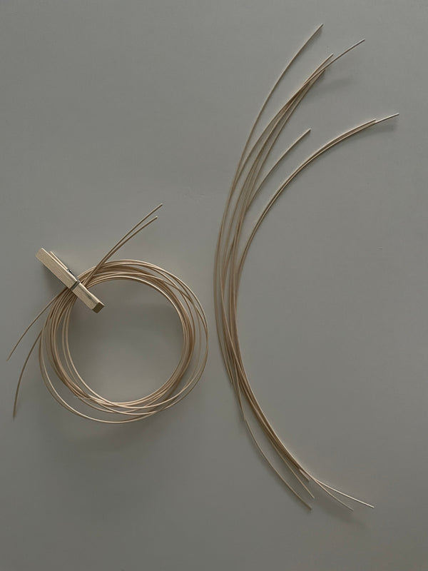 The Onion Kit Set: Sweet & Pearl Onion Beginner Kits + Underwater Magazine Issue No. 1