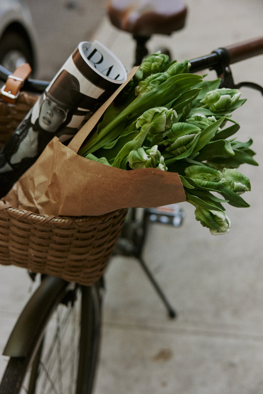 Seaside Bicycle Basket