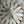 Folk Fleur Cloche