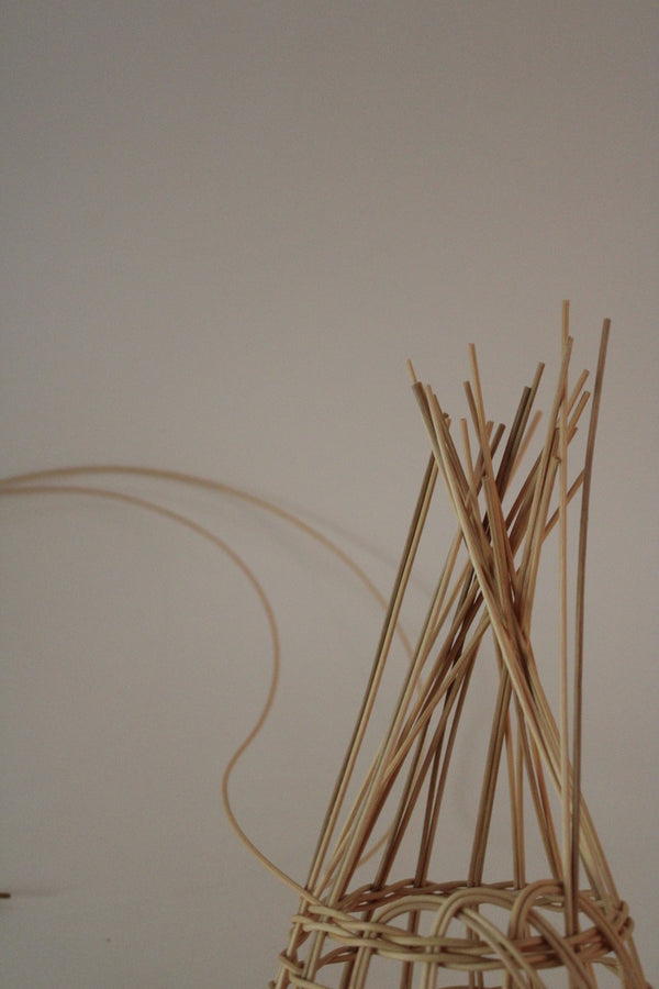 The Sweet Onion Basket Beginner Basket Weaving Kit