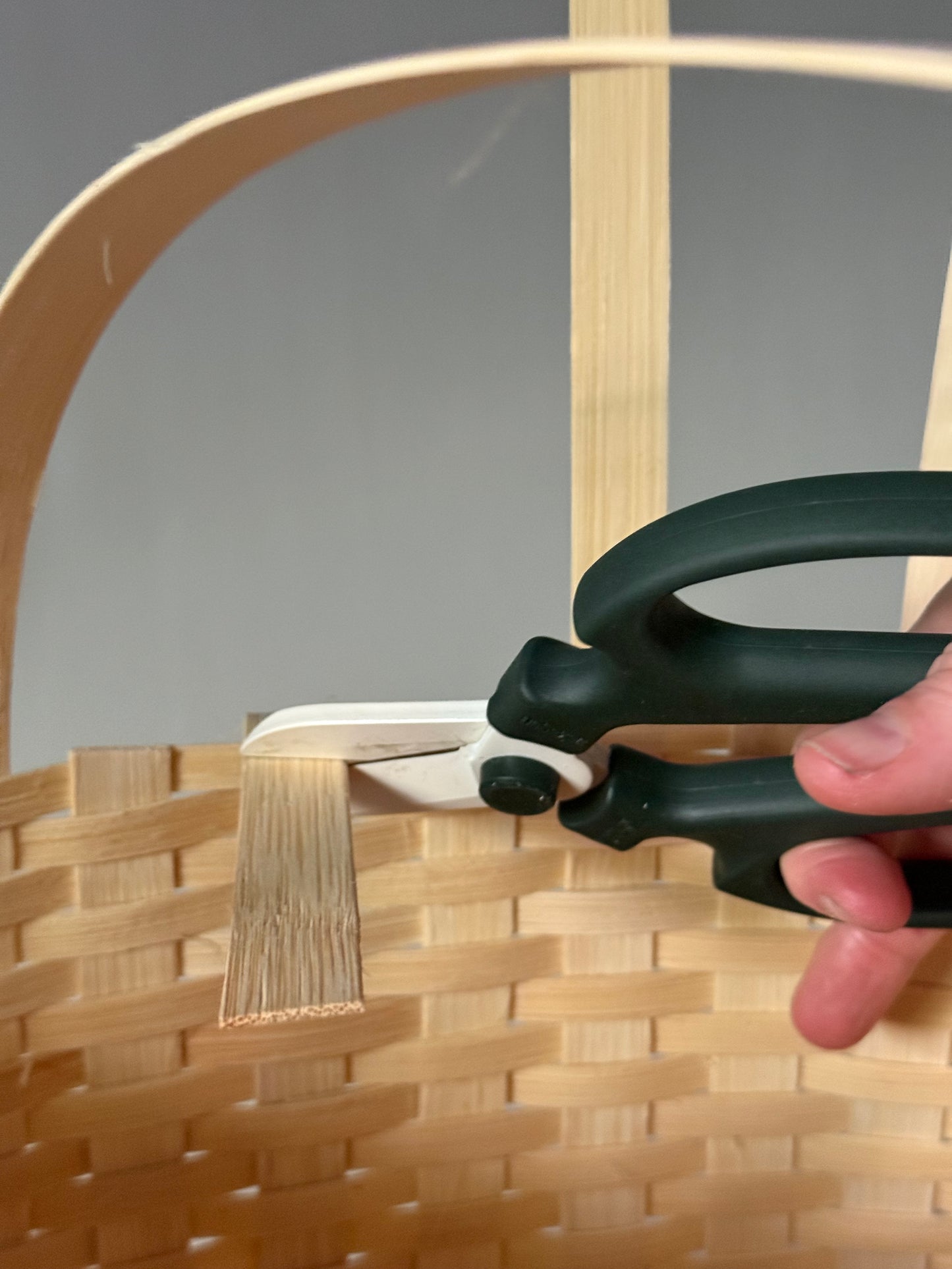 The What You Need Kit