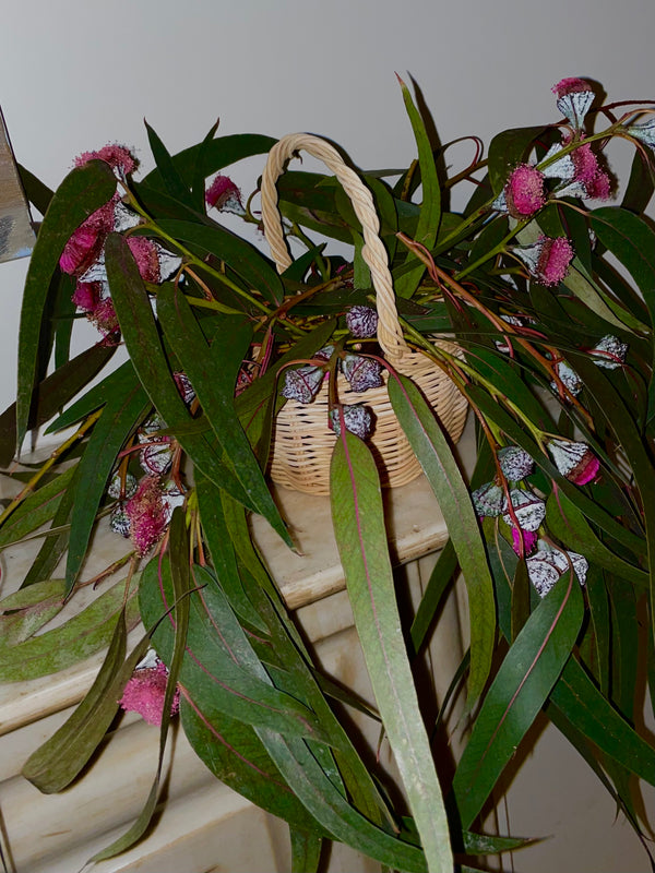 The Botanical Basket Beginner Basket Weaving Kit