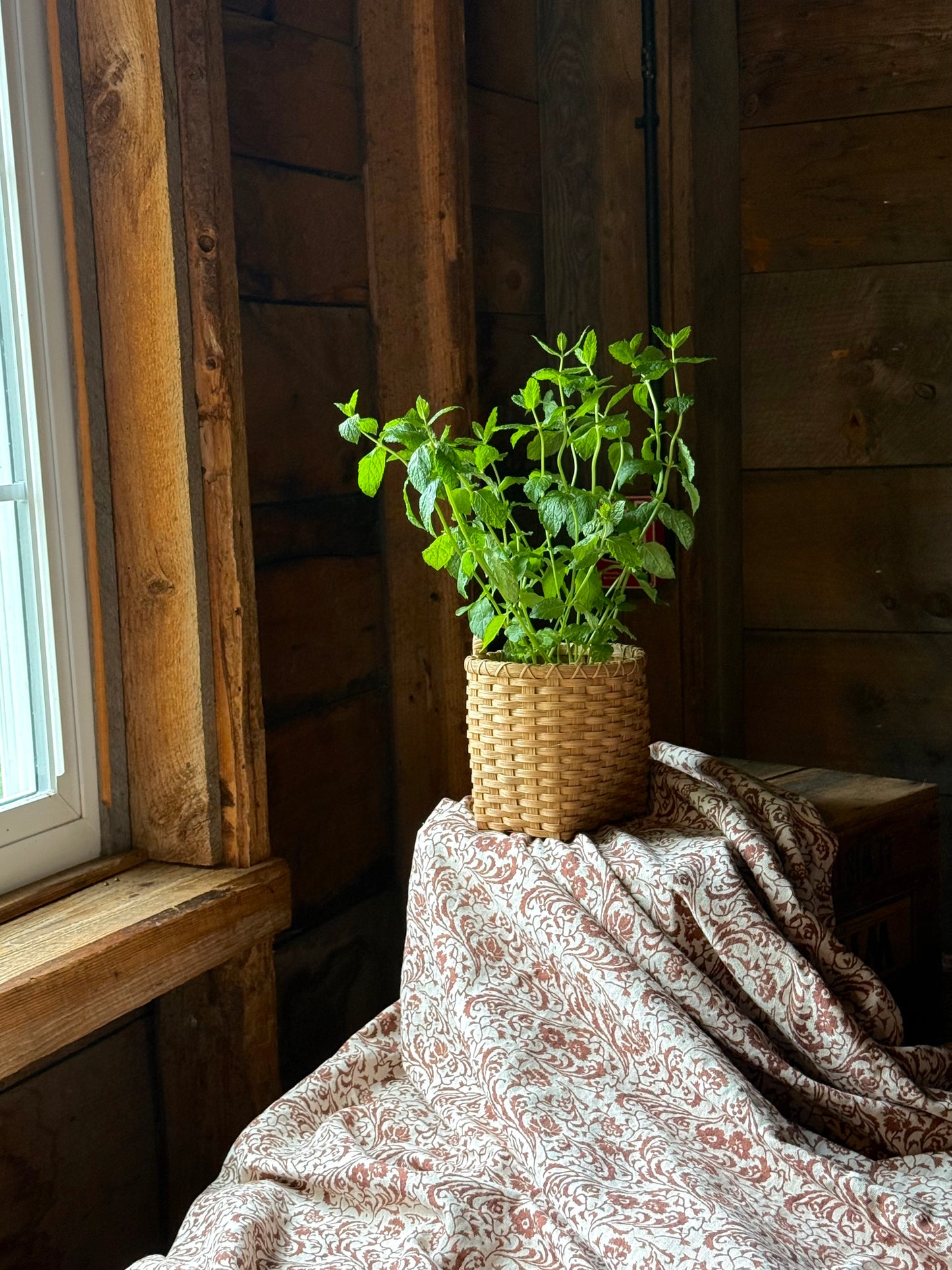 Paniers de Noël Bundle (Santa's Eve Basket Set)