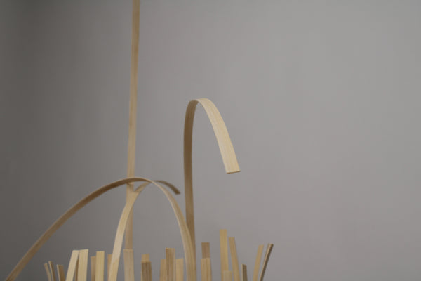 The Demi Gatherer Beginner Basket Weaving Kit