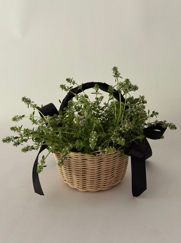 The Botanical Basket Beginner Basket Weaving Kit