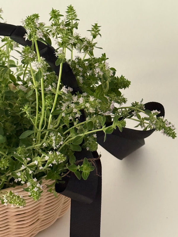 The Botanical Basket Beginner Basket Weaving Kit