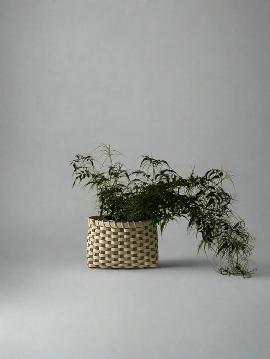 Patterned Planter