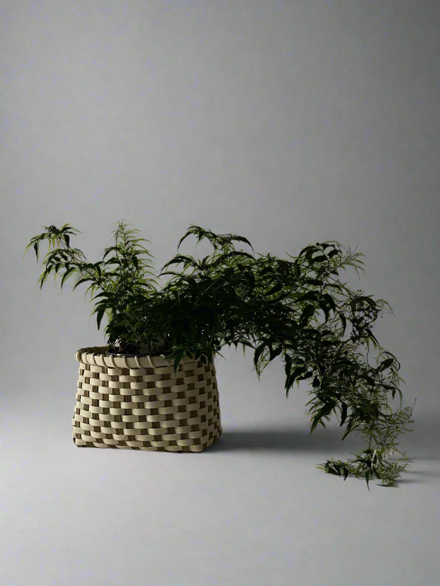 Patterned Planter