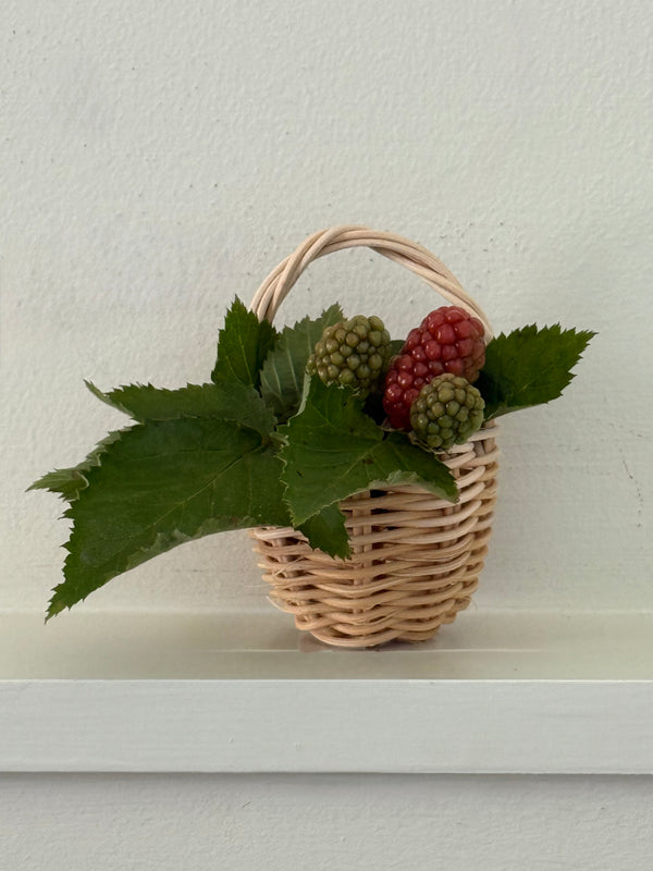 The Harvest Kit Set: Harvest & Mini Berry Basket Beginner Kits + Underwater Magazine Issue No. 2