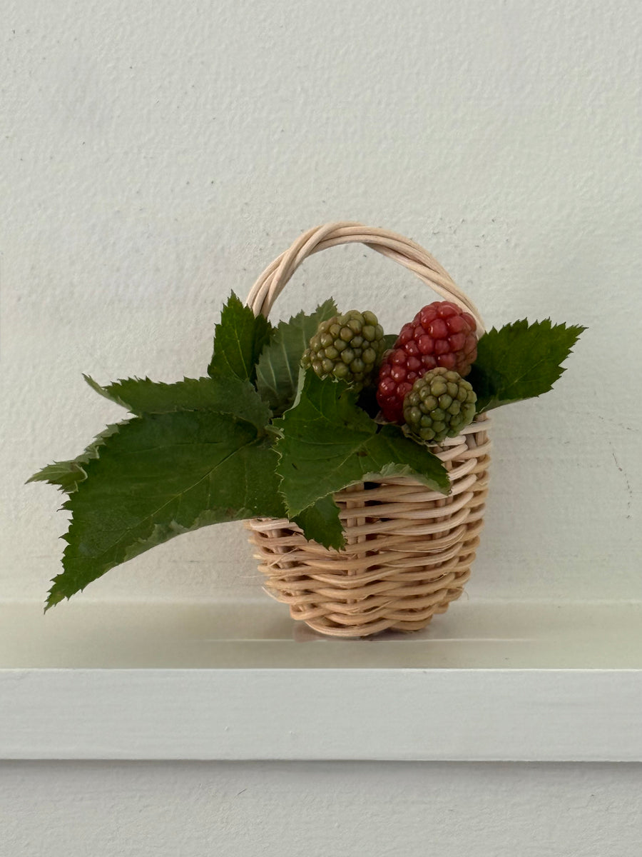 Set of Two Mini Wicker Hand Baskets: Beginner Basket Weaving Kit ...