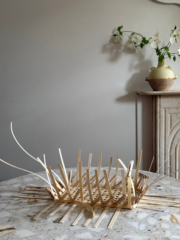 Pre-Order: Everyday Bounty Basket Beginner Weaving Kit