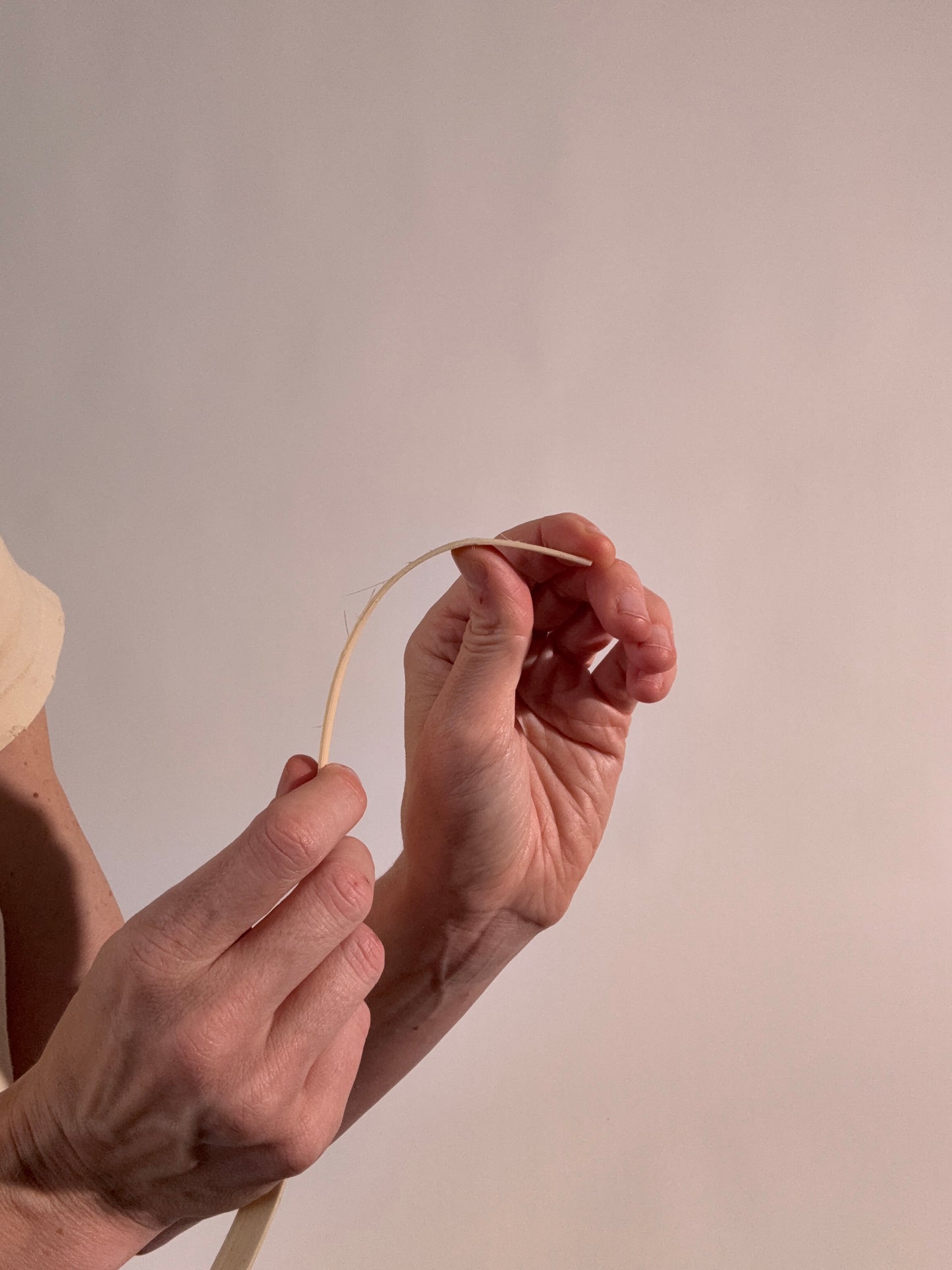 Pre-Order The December 15 Club Box: Little Shopper