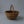 Orchard Basket