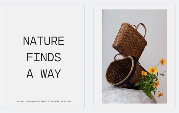 The Harvest Kit Set: Harvest & Mini Berry Basket Beginner Kits + Underwater Magazine Issue No. 2