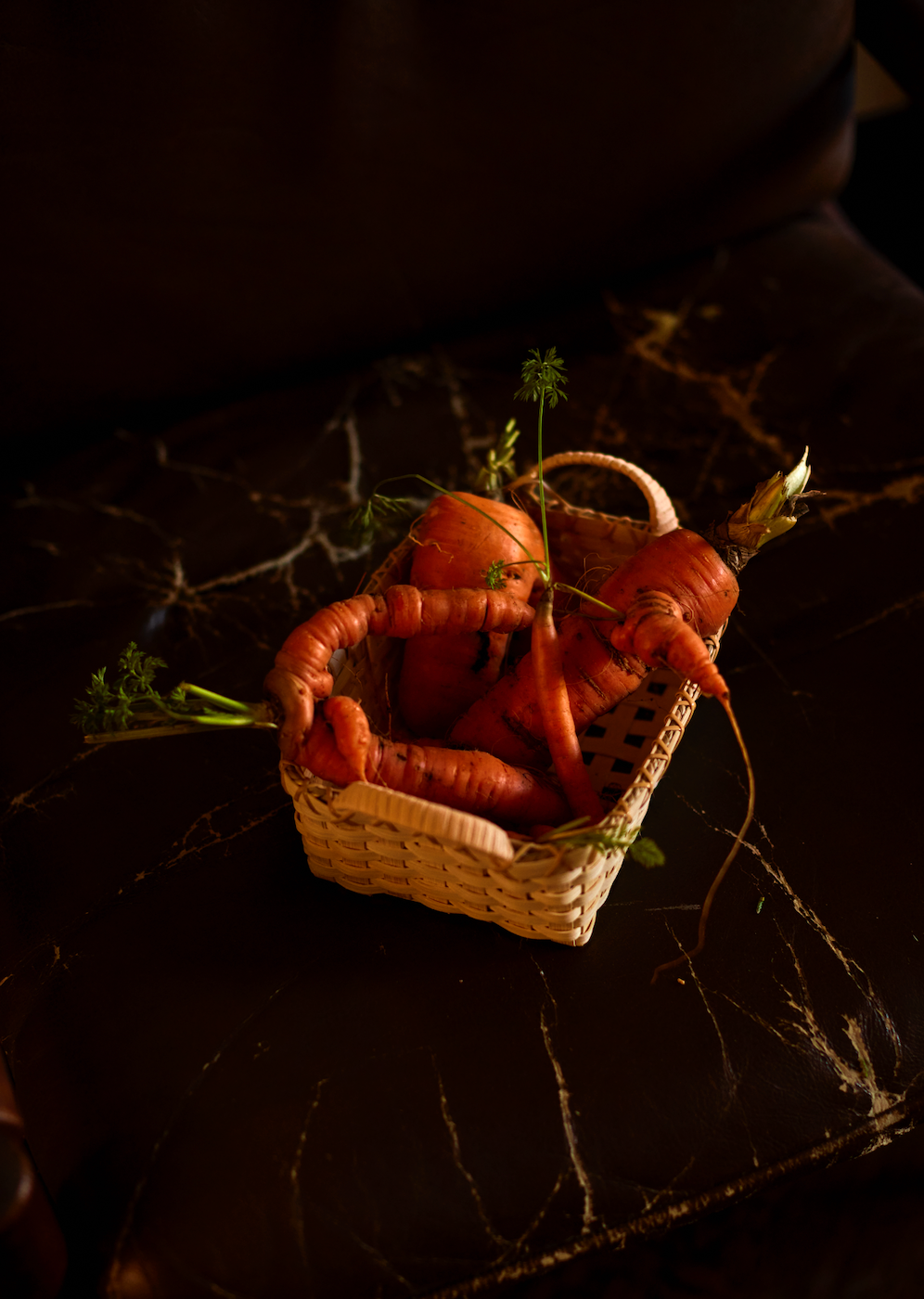 Paniers de Noël Bundle (Santa's Eve Basket Set)