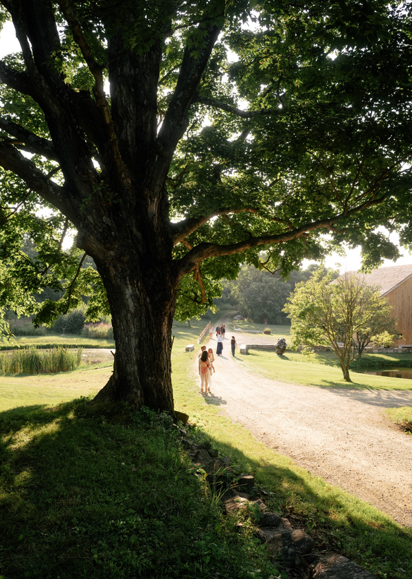 Sunfair Farm Workshop: Trail Baskets, Hudson NY, Saturday July 25, 2026