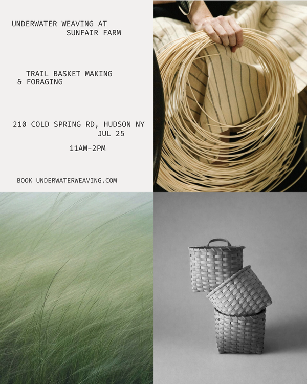 Sunfair Farm Workshop: Trail Baskets, Hudson NY, Saturday July 25, 2026