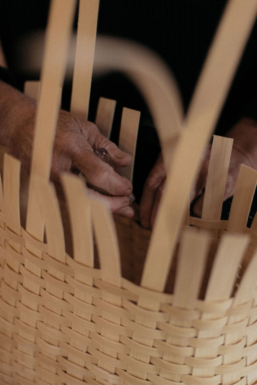 The August Club Box: The Harvest Basket & Underwater Magazine Issue No. 2