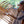 Barn Basket Workshop Series: October 16, 2027