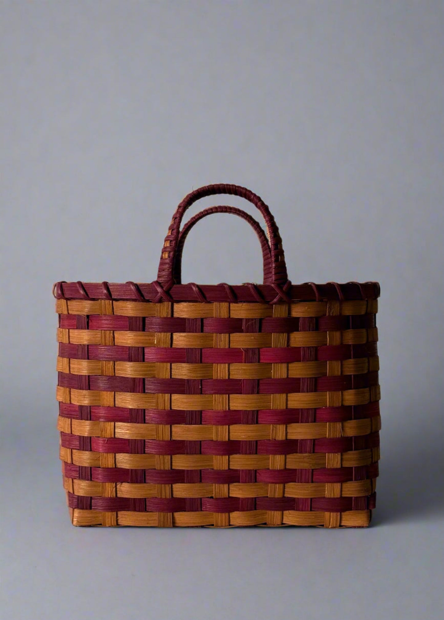 Retro-Travel Tote
