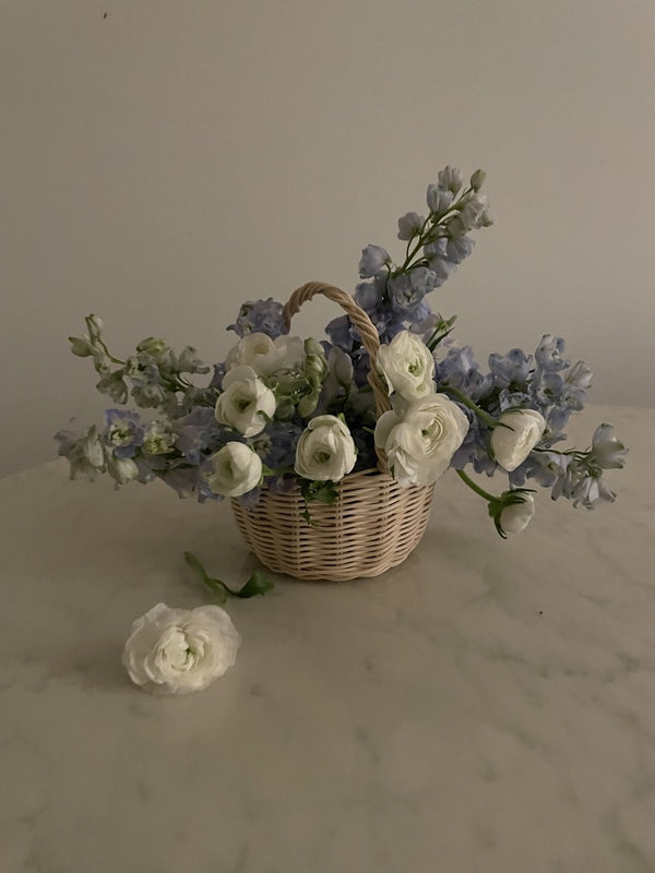 The Botanical Basket Beginner Basket Weaving Kit